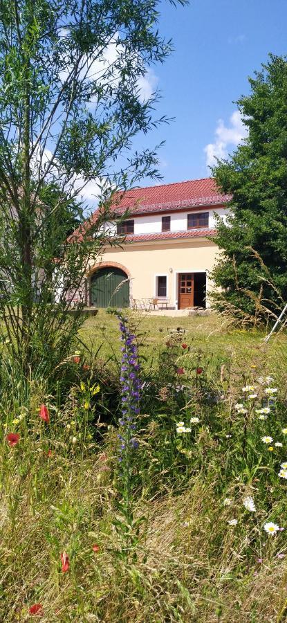 Ferienhof-Kuehn Hochkirch Dış mekan fotoğraf