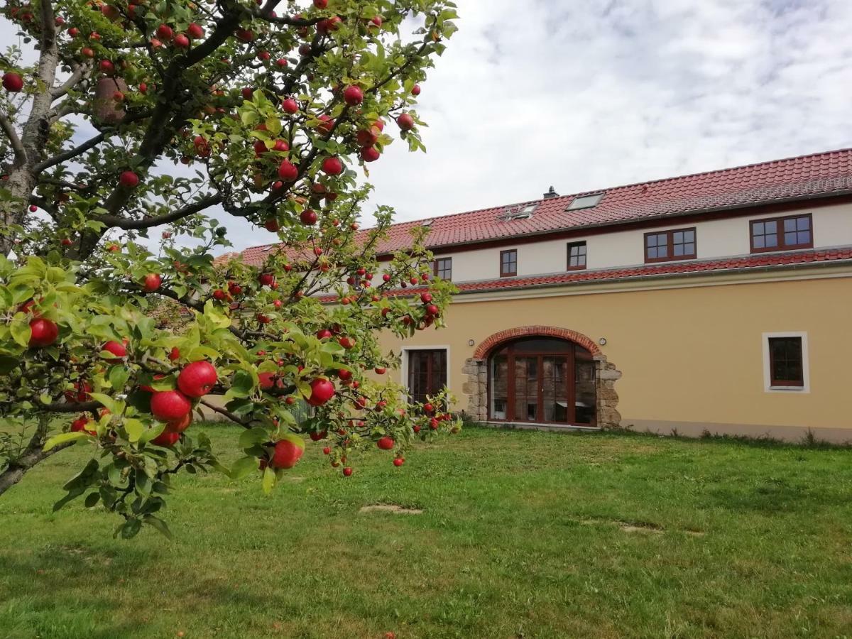 Ferienhof-Kuehn Hochkirch Dış mekan fotoğraf